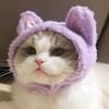 류서연 avatar